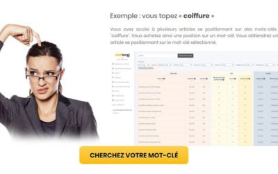 NextLevel, obtenez des liens dans des articles déjà positionnés